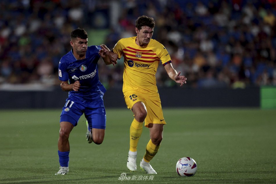 技战术的球 技战术的球